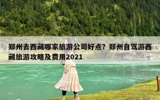 郑州去西藏哪家旅游公司好点？郑州自驾游西藏旅游攻略及费用2021