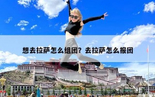 想去拉萨怎么组团？去拉萨怎么报团