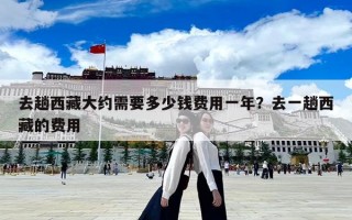去趟西藏大约需要多少钱费用一年？去一趟西藏的费用