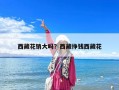 西藏花销大吗？西藏挣钱西藏花