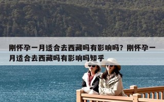 刚怀孕一月适合去西藏吗有影响吗？刚怀孕一月适合去西藏吗有影响吗知乎