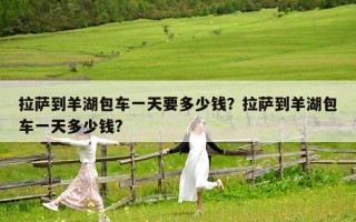 拉萨到羊湖包车一天要多少钱？拉萨到羊湖包车一天多少钱?