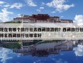 现在有哪个旅行社去西藏旅游的？西藏旅行社排名西藏旅行社哪家好