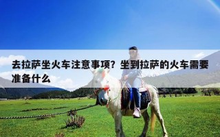 去拉萨坐火车注意事项？坐到拉萨的火车需要准备什么