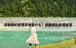 游西藏的感悟灵魂是什么？游西藏的感悟短语