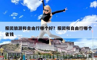 报团旅游和自由行哪个好？报团和自由行哪个省钱