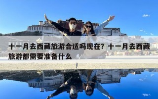 十一月去西藏旅游合适吗现在？十一月去西藏旅游都需要准备什么