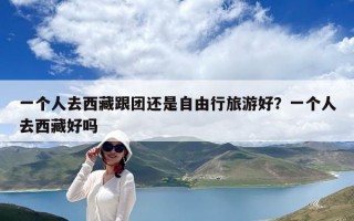一个人去西藏跟团还是自由行旅游好？一个人去西藏好吗