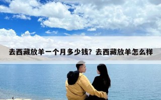 去西藏放羊一个月多少钱？去西藏放羊怎么样
