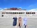 2017年6月份西藏羊湖旅行？西藏羊湖旅游
