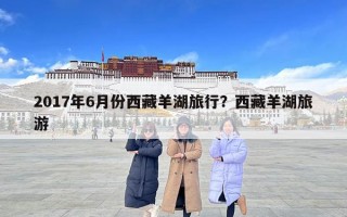 2017年6月份西藏羊湖旅行？西藏羊湖旅游
