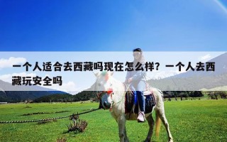 一个人适合去西藏吗现在怎么样？一个人去西藏玩安全吗