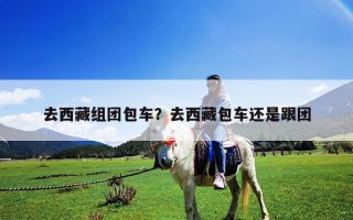 去西藏组团包车？去西藏包车还是跟团