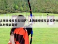 上海坐绿皮车去拉萨？上海坐绿皮车去拉萨什么时候去最好