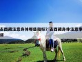 去西藏注意身体哪些指标？去西藏身体注意事项