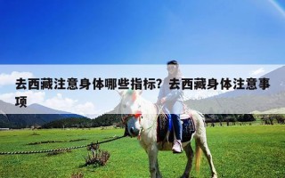 去西藏注意身体哪些指标？去西藏身体注意事项