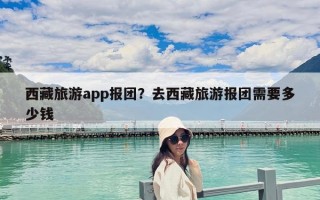 西藏旅游app报团？去西藏旅游报团需要多少钱