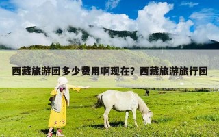 西藏旅游团多少费用啊现在？西藏旅游旅行团
