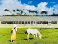 拉萨跟团五日游最低报价？拉萨跟团一日游