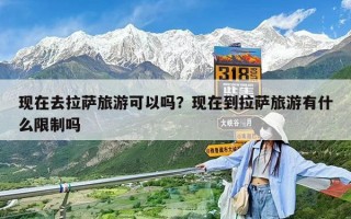 现在去拉萨旅游可以吗？现在到拉萨旅游有什么限制吗