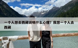 一个人想去西藏说明什么心理？我想一个人去西藏