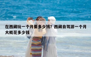 在西藏玩一个月要多少钱？西藏自驾游一个月大概花多少钱