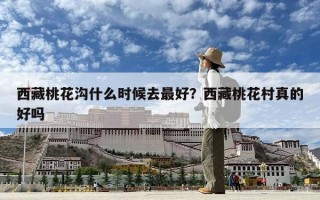 西藏桃花沟什么时候去最好？西藏桃花村真的好吗