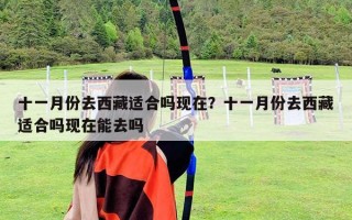 十一月份去西藏适合吗现在？十一月份去西藏适合吗现在能去吗