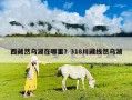 西藏然乌湖在哪里？318川藏线然乌湖