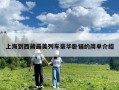 上海到西藏最美列车豪华卧铺的简单介绍