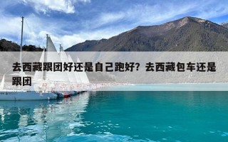 去西藏跟团好还是自己跑好？去西藏包车还是跟团