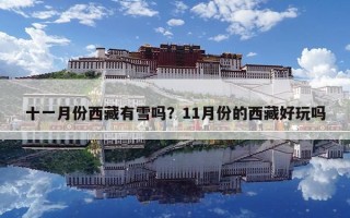 十一月份西藏有雪吗？11月份的西藏好玩吗