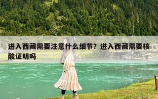 进入西藏需要注意什么细节？进入西藏需要核酸证明吗