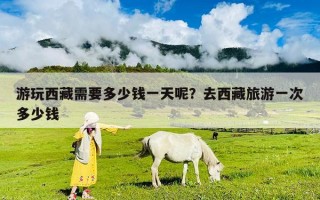 游玩西藏需要多少钱一天呢？去西藏旅游一次多少钱