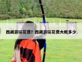 西藏游玩花费？西藏游玩花费大概多少