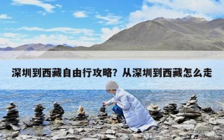 深圳到西藏自由行攻略？从深圳到西藏怎么走