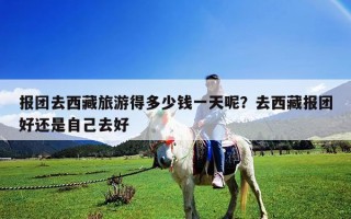 报团去西藏旅游得多少钱一天呢？去西藏报团好还是自己去好