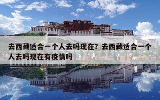 去西藏适合一个人去吗现在？去西藏适合一个人去吗现在有疫情吗