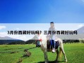 3月份西藏好玩吗？三月份西藏好玩吗