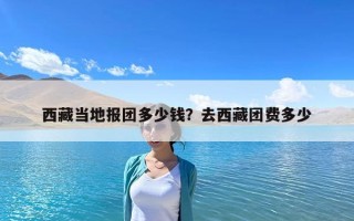 西藏当地报团多少钱？去西藏团费多少
