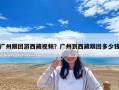 广州跟团游西藏视频？广州到西藏跟团多少钱