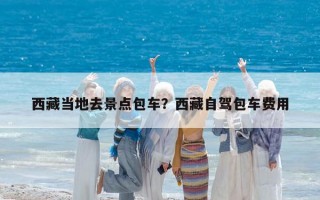 西藏当地去景点包车？西藏自驾包车费用