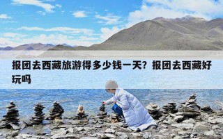 报团去西藏旅游得多少钱一天？报团去西藏好玩吗