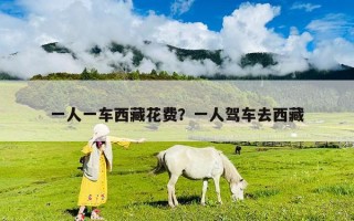 一人一车西藏花费？一人驾车去西藏