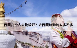 西藏几个人去比较好？去西藏旅游的人多不多