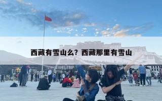 西藏有雪山么？西藏那里有雪山
