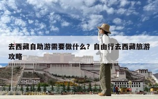 去西藏自助游需要做什么？自由行去西藏旅游攻略