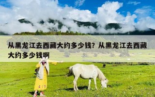 从黑龙江去西藏大约多少钱？从黑龙江去西藏大约多少钱啊