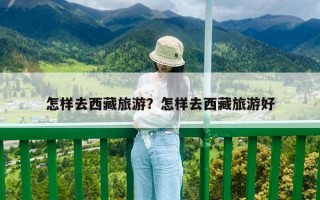 怎样去西藏旅游？怎样去西藏旅游好