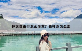 林芝自由行怎么坐车？去林芝怎么走